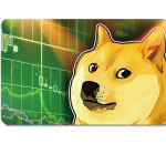 Doge Stocks